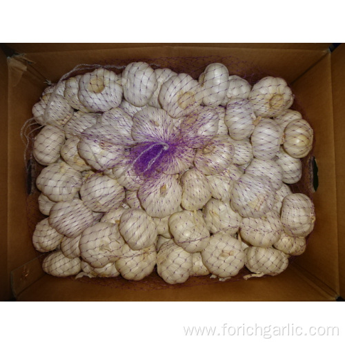 Pure White Garlic Fresh Crop 2019